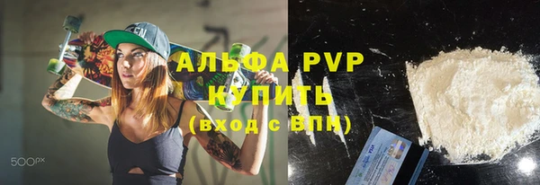 СК Бронницы