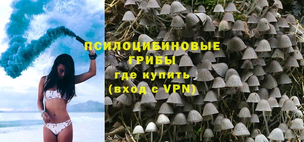 прущие крисы Бородино