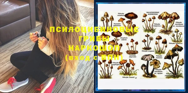 СК Бронницы