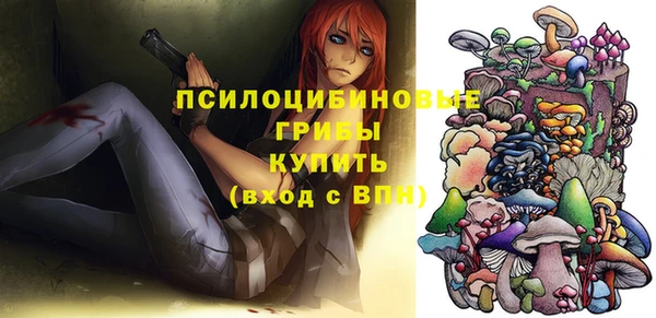 прущие крисы Бородино