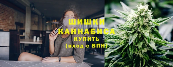 прущие крисы Бородино